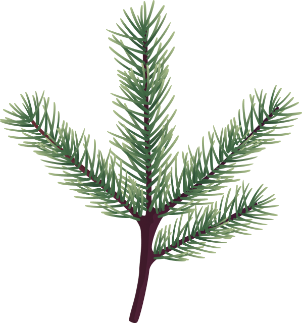 christmass-illustration-08b@2x